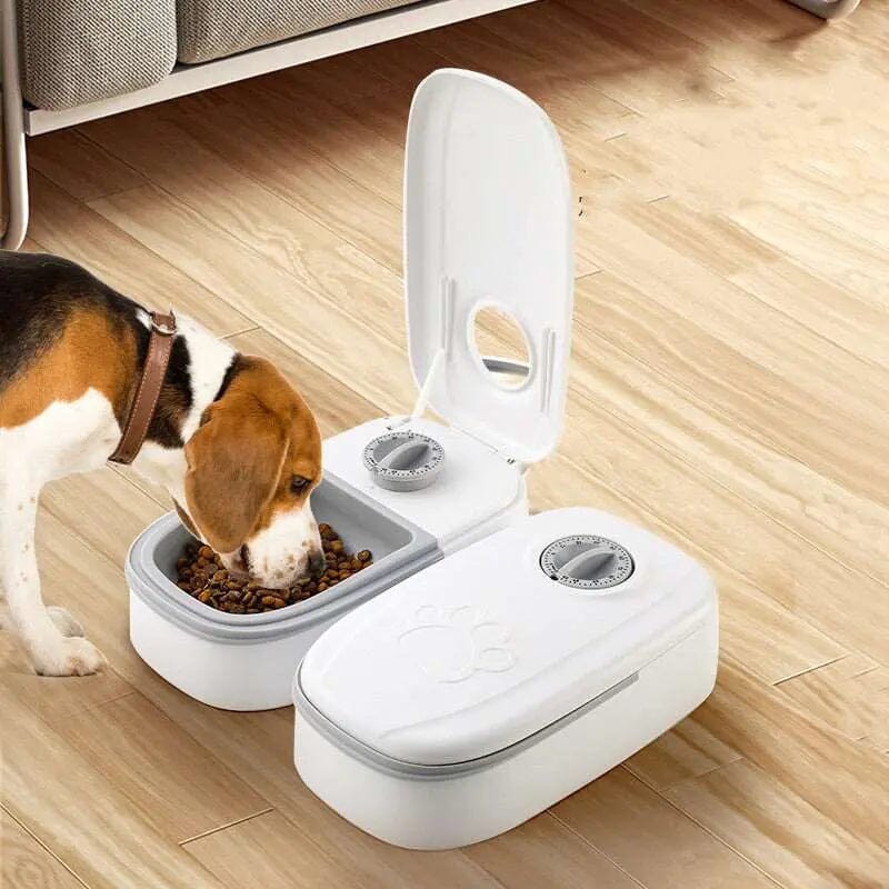 Smart Pet Feeder